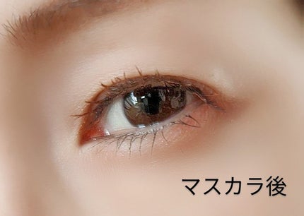 クイックラッシュカーラー/キャンメイク/マスカラ下地を使ったクチコミ(3枚目)
