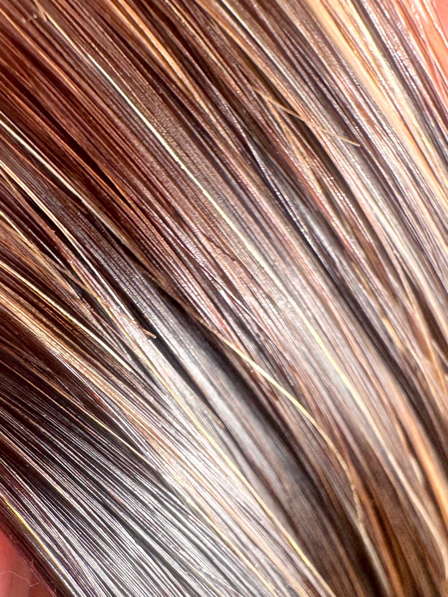 プロヘマチン原液 ヒト幹細胞培養エキス+/fracora/洗い流すヘアトリートメントを使ったクチコミ(4枚目)