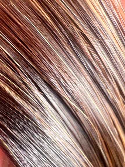 プロヘマチン原液 ヒト幹細胞培養エキス+/fracora/洗い流すヘアトリートメントを使ったクチコミ(4枚目)