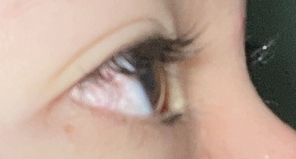 トゥルーアイラッシュセラム/mude./まつげ美容液を使ったクチコミ（2枚目）