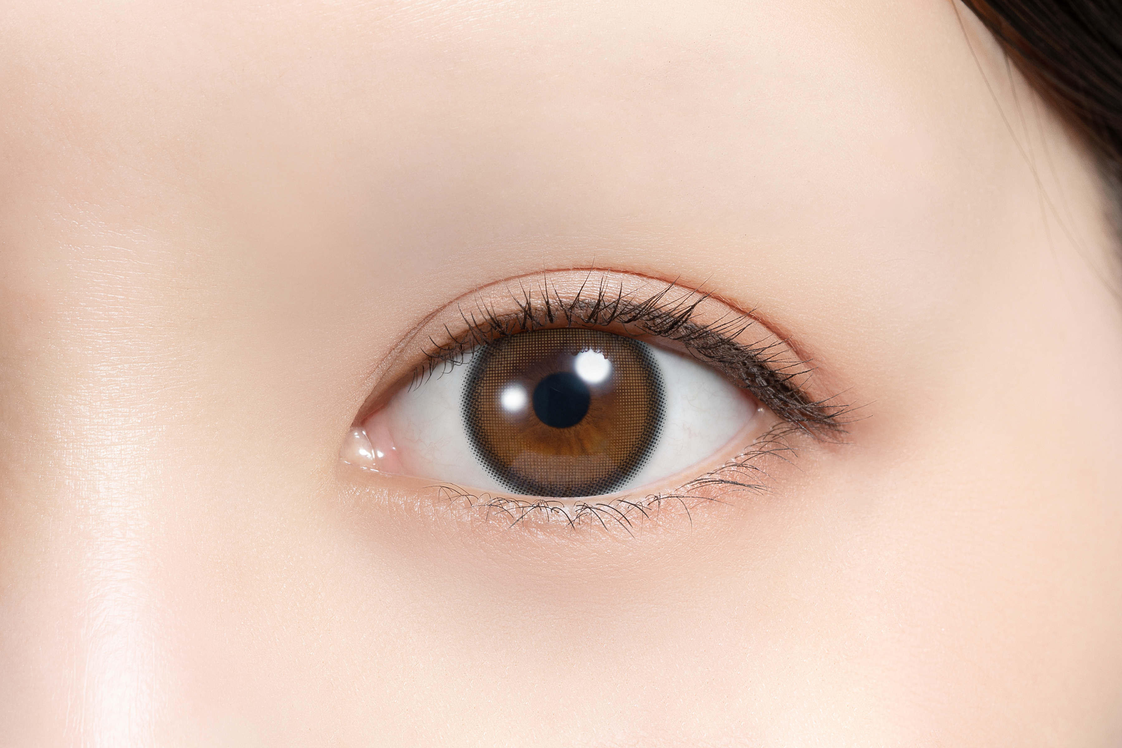 feliamo 1day ウーロンティー