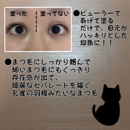 ラッシュエキスパンダー 孔雀ロング/MAJOLICA MAJORCA/マスカラを使ったクチコミ(5枚目)