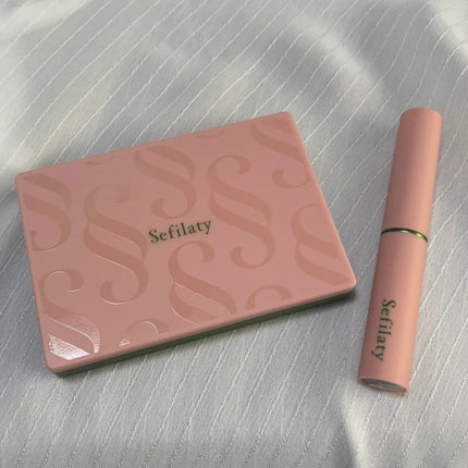 セフィラティ クイーンバレットルージュ/Sefilaty/口紅を使ったクチコミ(1枚目)