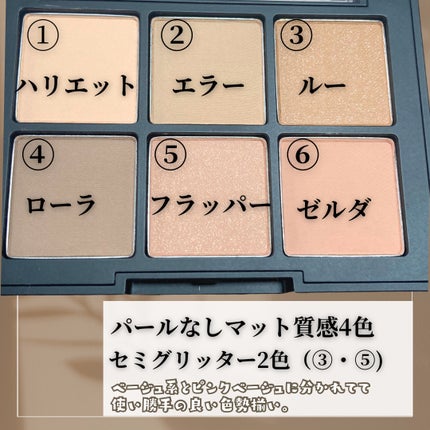 ブラーフィニシュシャドウパレット/Dinto/アイシャドウパレットを使ったクチコミ(3枚目)