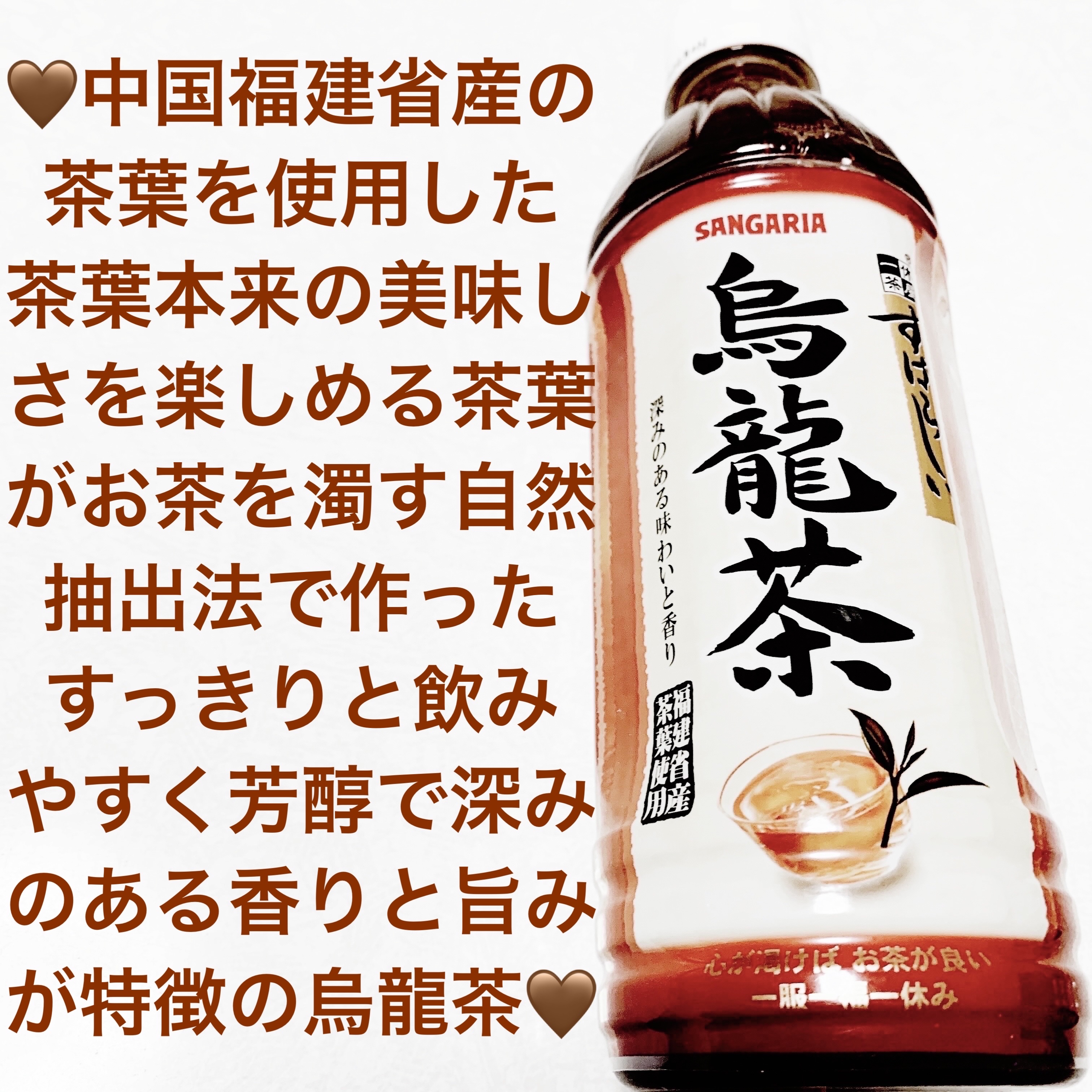 すばらしい烏龍茶/サンガリア/ドリンクを使ったクチコミ（1枚目）