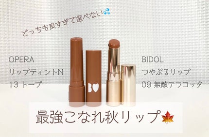 オペラ リップティント N/OPERA/リップティントを使ったクチコミ(1枚目)