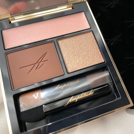 コンスピキュアス アイズ/Amplitude/アイシャドウパレットを使ったクチコミ(3枚目)