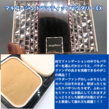 スポンジクリーナーN 199/SHISEIDO/その他化粧小物を使ったクチコミ(9枚目)