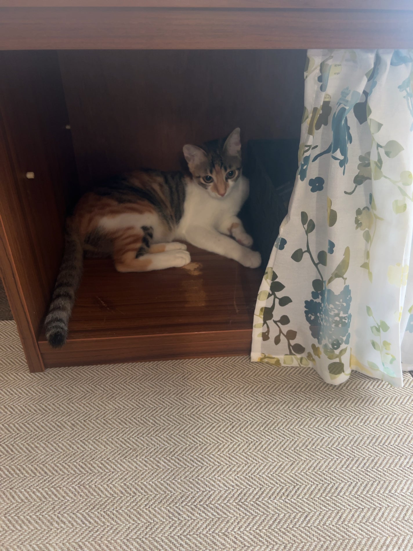 ðââ¬ã«ãããðŸ on LIPS ãæšæ¥æçš¿ããLOWYAã®ãã¬ããµãŒããŒãã«ãä»äºãçµãã£ãŠãã..ãïŒ3æç®ïŒ