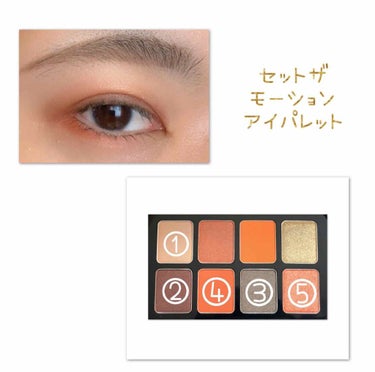 セット ザ モーション アイパレット/shu uemura/アイシャドウパレットを使ったクチコミ（3枚目）