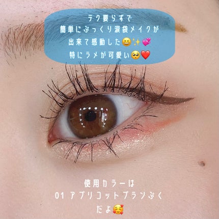 プランぷくコーデアイズ/キャンメイク/パウダーアイシャドウを使ったクチコミ(3枚目)