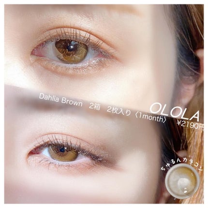 ダリアブラウンマンスリー (DAHLIA BROWN monthly)/OLOLA/1ヶ月(1MONTH)カラコンを使ったクチコミ(1枚目)