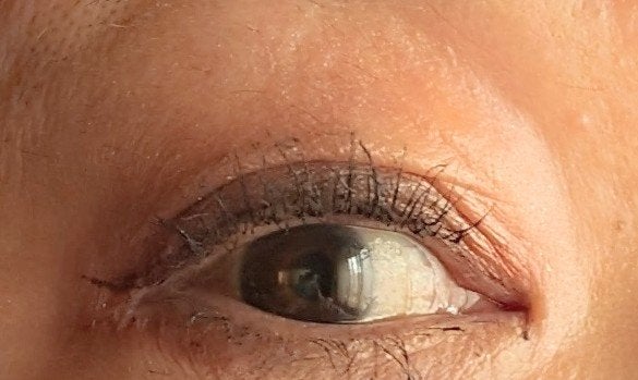 シルキースフレアイズ/キャンメイク/アイシャドウパレットを使ったクチコミ(2枚目)