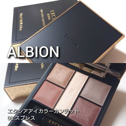 アディクション ザ アイシャドウ パレット/ADDICTION/アイシャドウパレットを使ったクチコミ(2枚目)