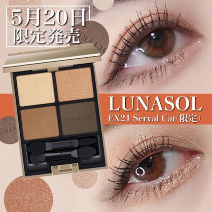 アイカラーレーション/LUNASOL/アイシャドウパレットを使ったクチコミ(1枚目)