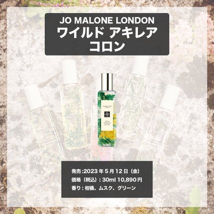 ワイルド アキレア コロン/Jo MALONE LONDON/香水(その他)を使ったクチコミ(4枚目)