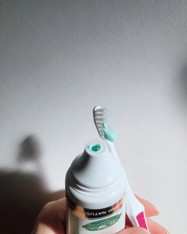 デンティスPro-B/デンティス/歯磨き粉を使ったクチコミ（5枚目）