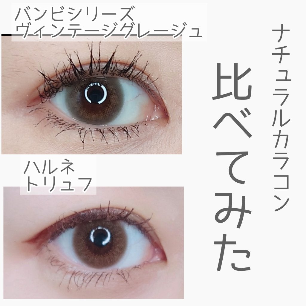 Angelcolor Bambi Series Vintage 1day/AngelColor/ワンデー(1DAY)カラコンを使ったクチコミ(1枚目)
