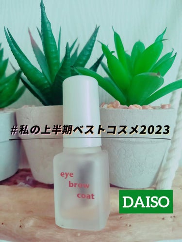 エバビレーナ アイブローコート/DAISO/アイブロウコートを使ったクチコミ（1枚目）