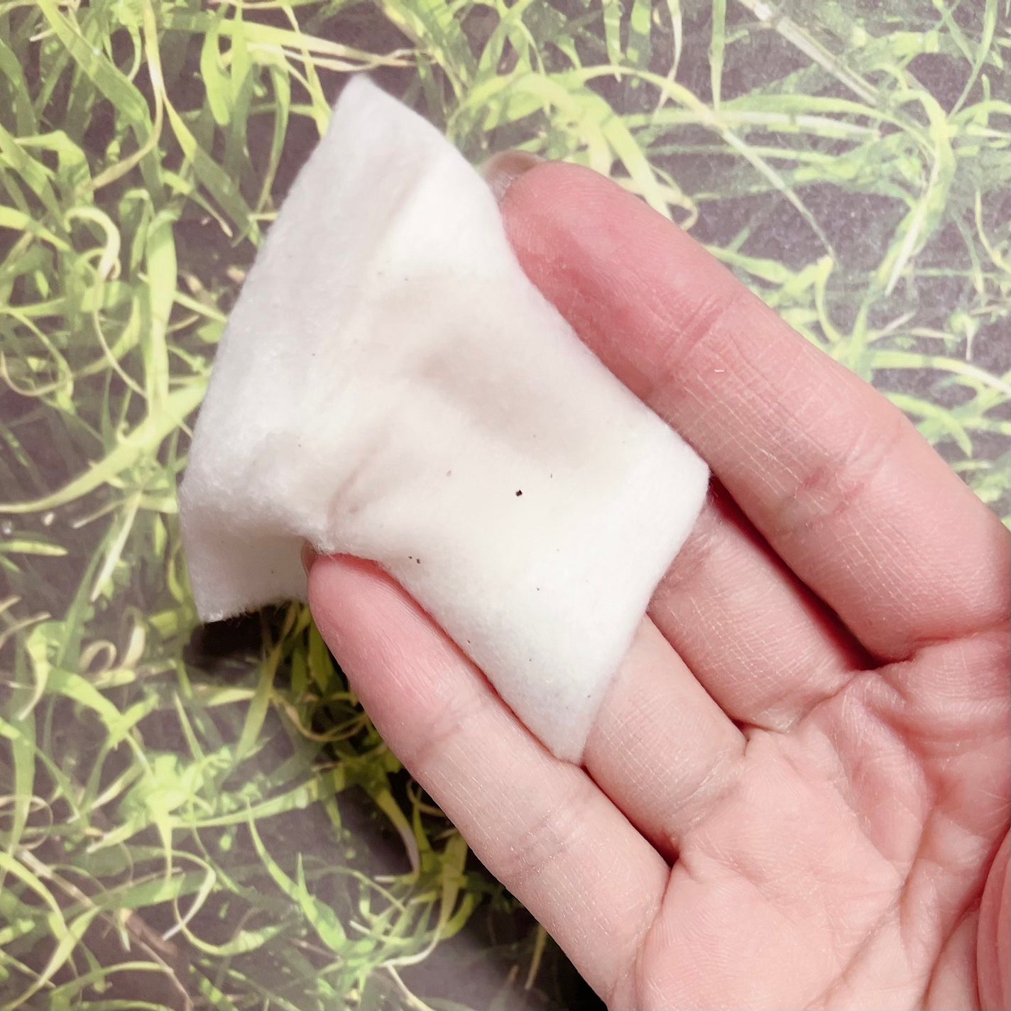 オードムーゲ 薬用ローション(ふきとり化粧水)/オードムーゲ/拭き取り化粧水を使ったクチコミ(4枚目)