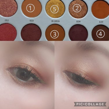 MORPHE×JACLYN Hill  RING THE ALARM/Morphe/アイシャドウパレットを使ったクチコミ（3枚目）