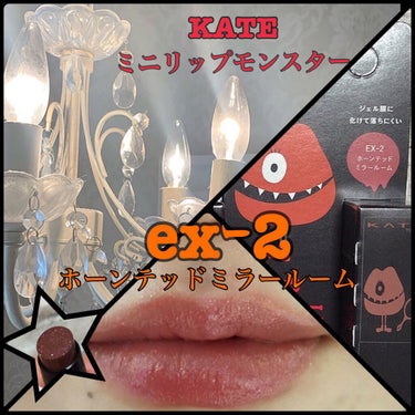 リップモンスター EX-2 ホーンテッドミラールーム（ミニ）＜数量限定発売＞/KATE/口紅を使ったクチコミ（1枚目）