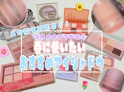 プロ アイ パレット/CLIO/アイシャドウパレットを使ったクチコミ(1枚目)