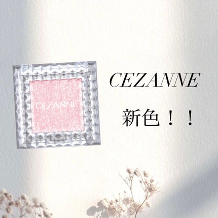 シングルシャイニーアイシャドウ/CEZANNE/アイシャドウを使ったクチコミ(1枚目)
