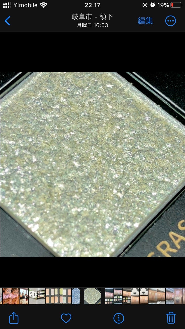 エクスプローラ12色 動物アイシャドウパレット/PERFECT DIARY/アイシャドウパレットを使ったクチコミ(9枚目)