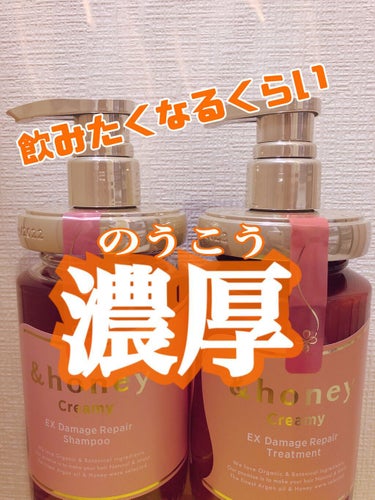 Creamy EXダメージリペアシャンプー1.0/ヘアトリートメント2.0/&honey/シャンプー・コンディショナーを使ったクチコミ（1枚目）