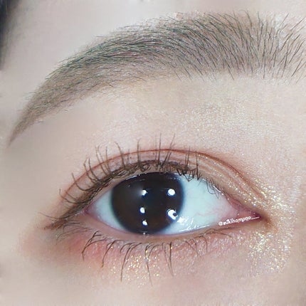 アイランドアドベンチャー4アイシャドウ/HEXZE(ヘックスゼ)/アイシャドウパレットを使ったクチコミ(1枚目)