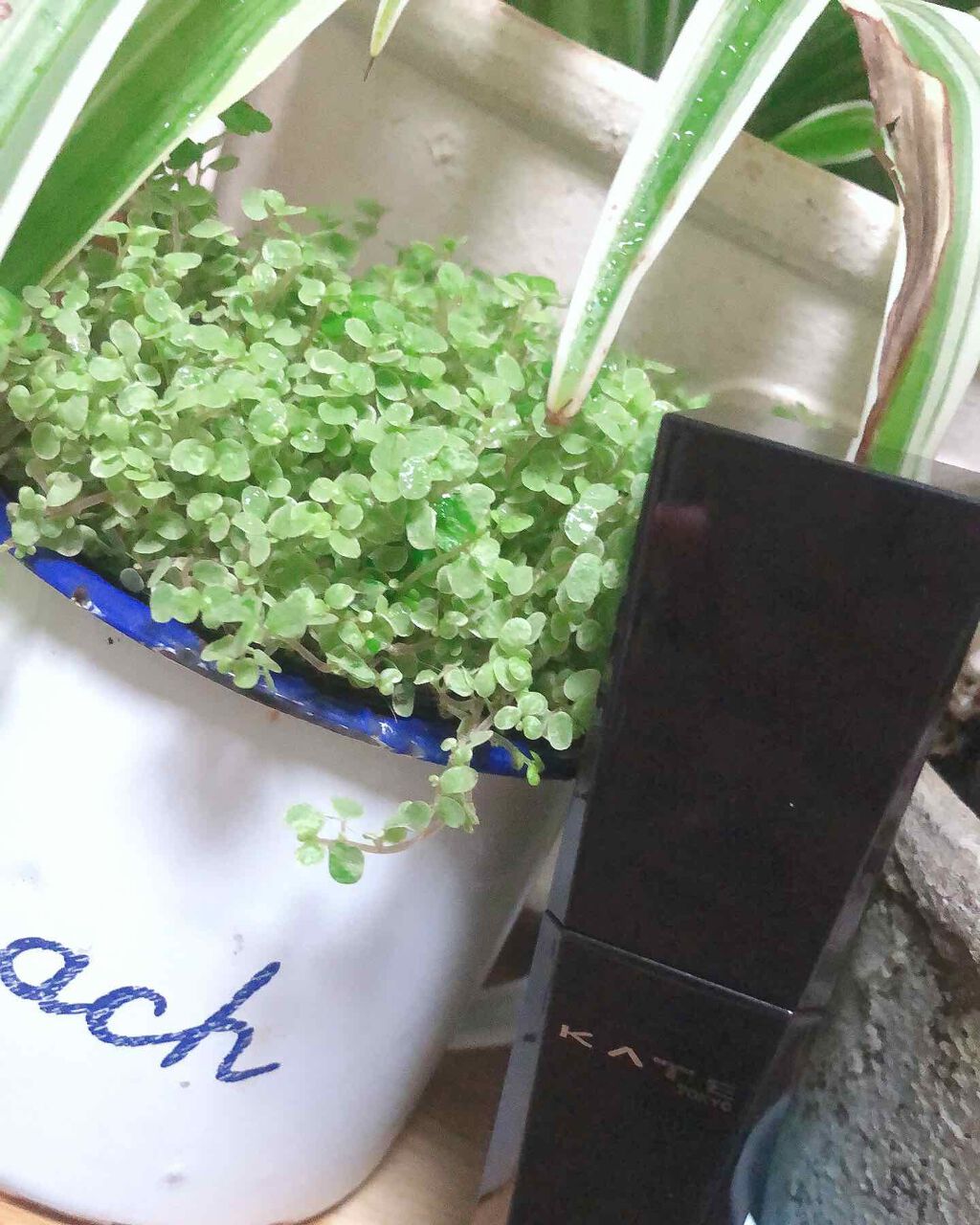 シークレットスキンメイカーゼロ(リキッド)/KATE/リキッドファンデーションを使ったクチコミ(1枚目)