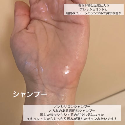 PRO-V ミセラー ピュア&クレンズ ノンシリコンシャンプー/トリートメント/パンテーン/市販シャンプーを使ったクチコミ(2枚目)