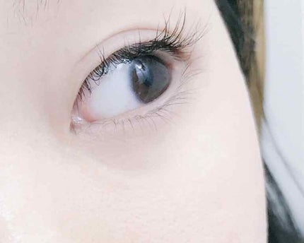 yuu on LIPS 「QOO10にて購入したセルフまつ毛パーマ1枚目がかけ終わった後..」(1枚目)