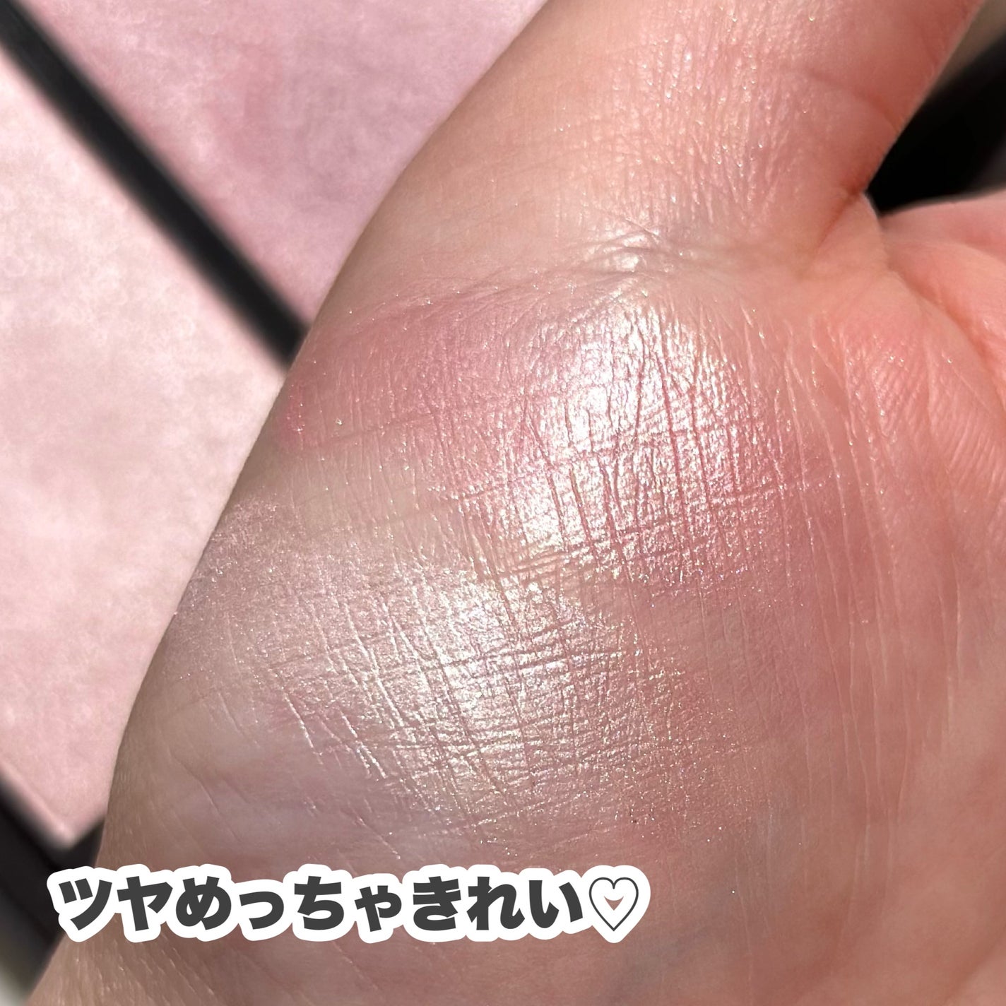 フィット my カラーパレット/STEIASUR(ステイアシュール)/マルチパレットを使ったクチコミ(4枚目)