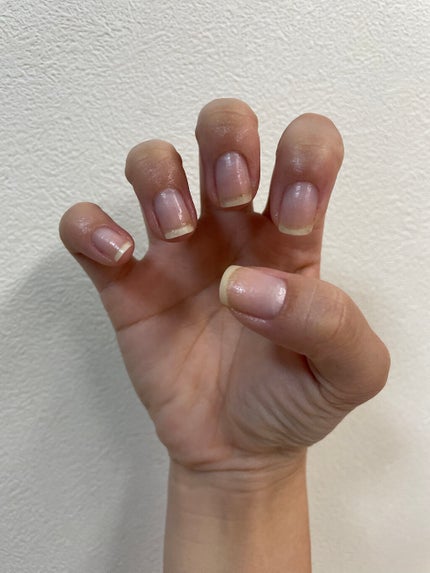 を使ったクチコミ(2枚目)