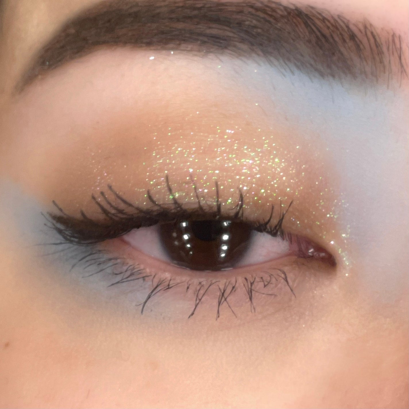 Twin Flames Multichrome Pigment/DANESSA MYRICKS BEAUTY/リキッドアイシャドウを使ったクチコミ(5枚目)