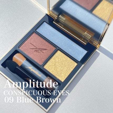 コンスピキュアス アイズ/Amplitude/アイシャドウパレットを使ったクチコミ(4枚目)