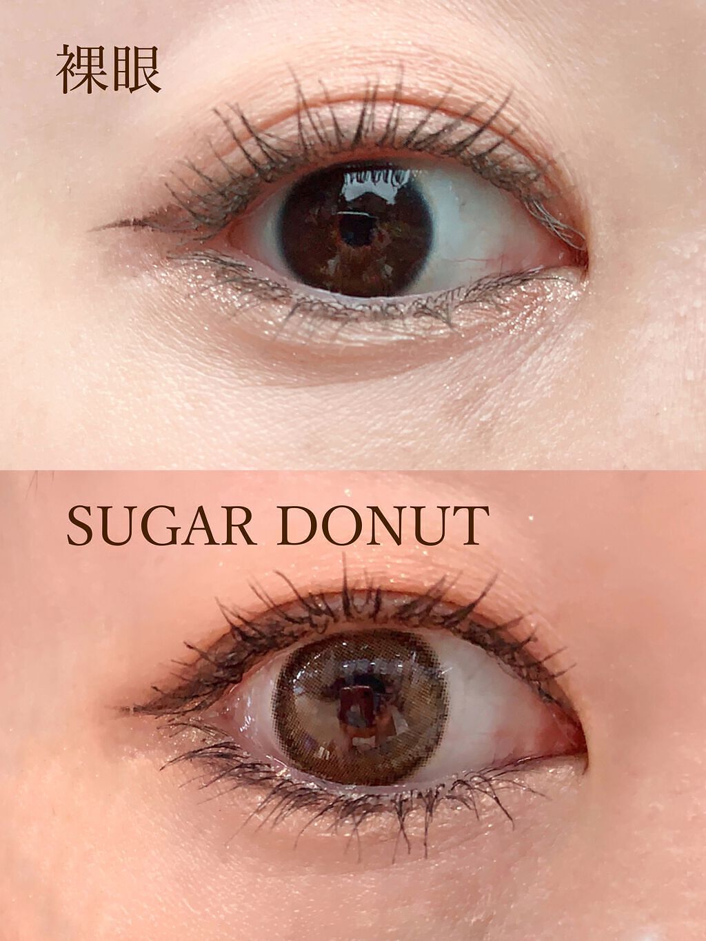 mimuco 1day/mimuco/ワンデー（１DAY）カラコンを使ったクチコミ（2枚目）