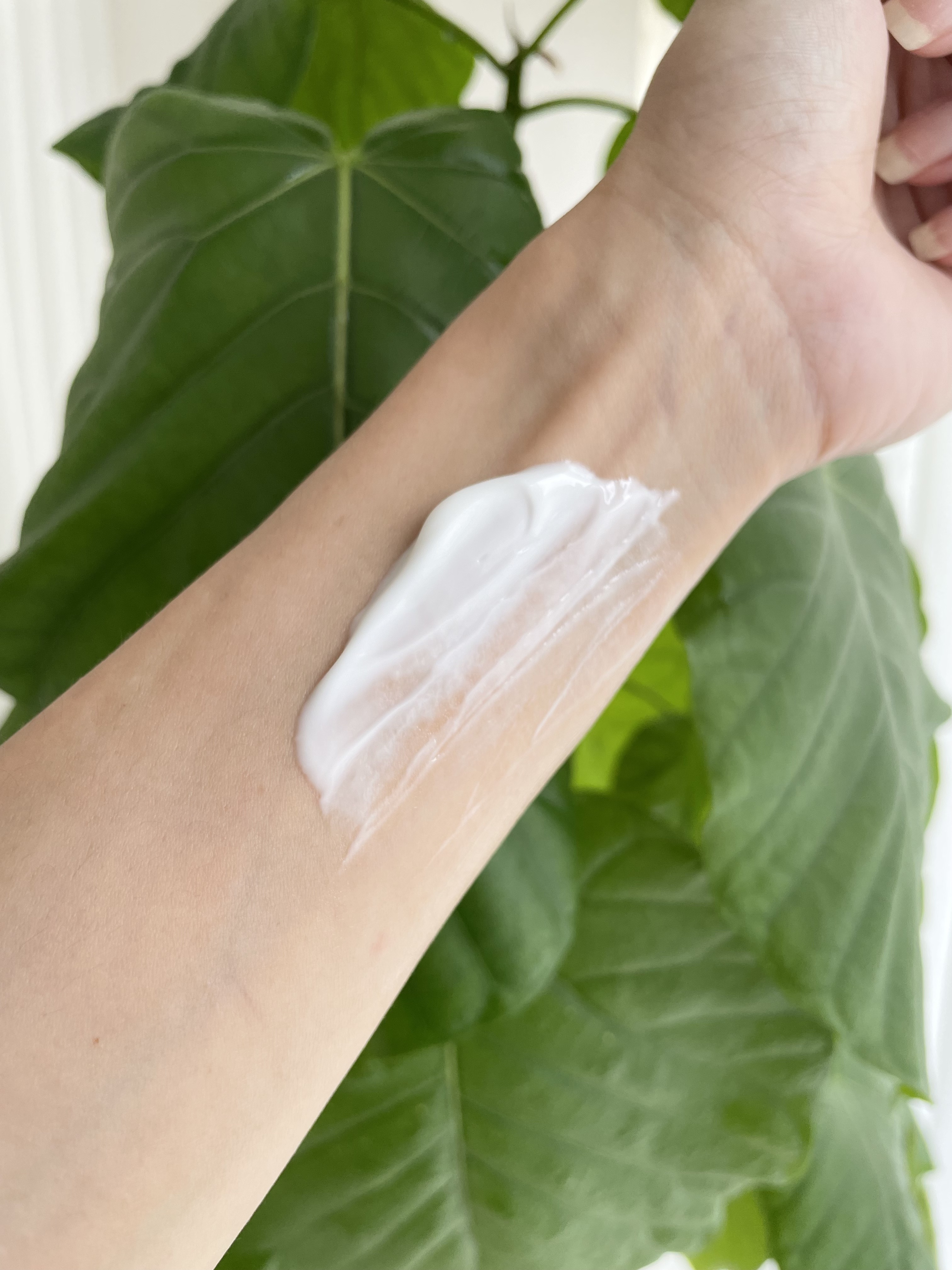 レッドスージングAIクリーム/PHYSIOGEL/フェイスオイルを使ったクチコミ（2枚目）