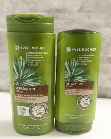 YVES ROCHER(イヴ・ロシェ) ヘルシースカルプ シャンプー リペア／コンディショナー リペア


シャンプーとコンディショナーのご紹介です☺️

メキシコの砂漠で生育するブルーアカ