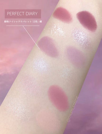 エクスプローラ12色 動物アイシャドウパレット バタフライ/PERFECT DIARY/アイシャドウパレットを使ったクチコミ(3枚目)