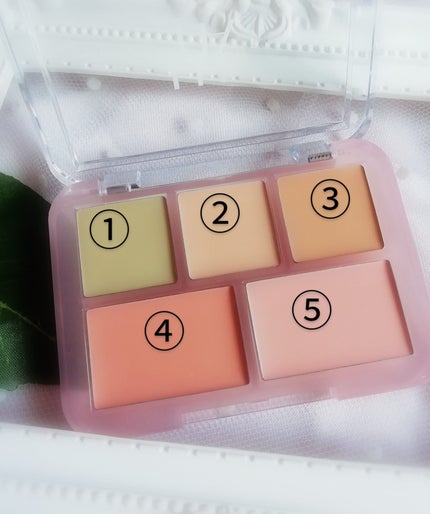 コンシールブレンダーパレット/LUNA/パレットコンシーラーを使ったクチコミ(5枚目)