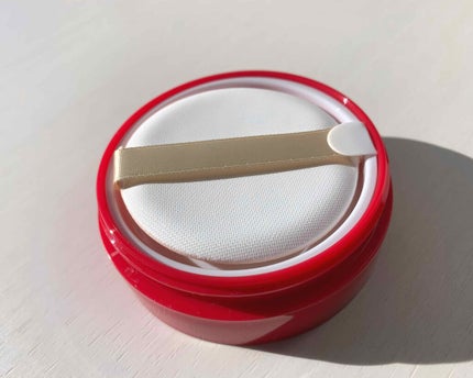 ノーセバム ミネラルパウダー/innisfree/ルースパウダーを使ったクチコミ(2枚目)