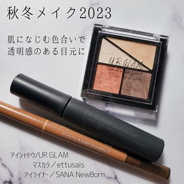 UR GLAM　VELVET EYE COLOR PALETTE/U R GLAM/パウダーアイシャドウを使ったクチコミ（1枚目）