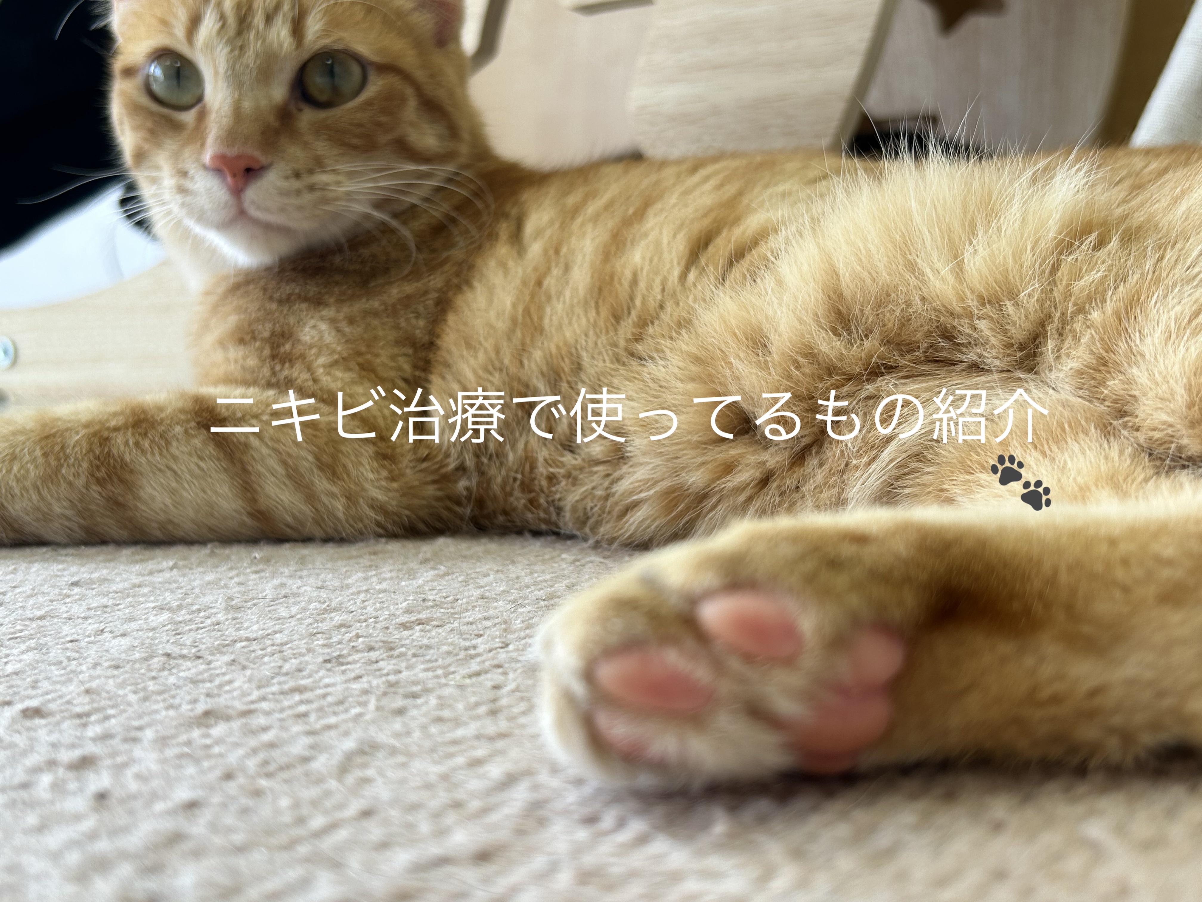 ノブ Ａ アクネソープ/NOV/洗顔石鹸を使ったクチコミ（1枚目）