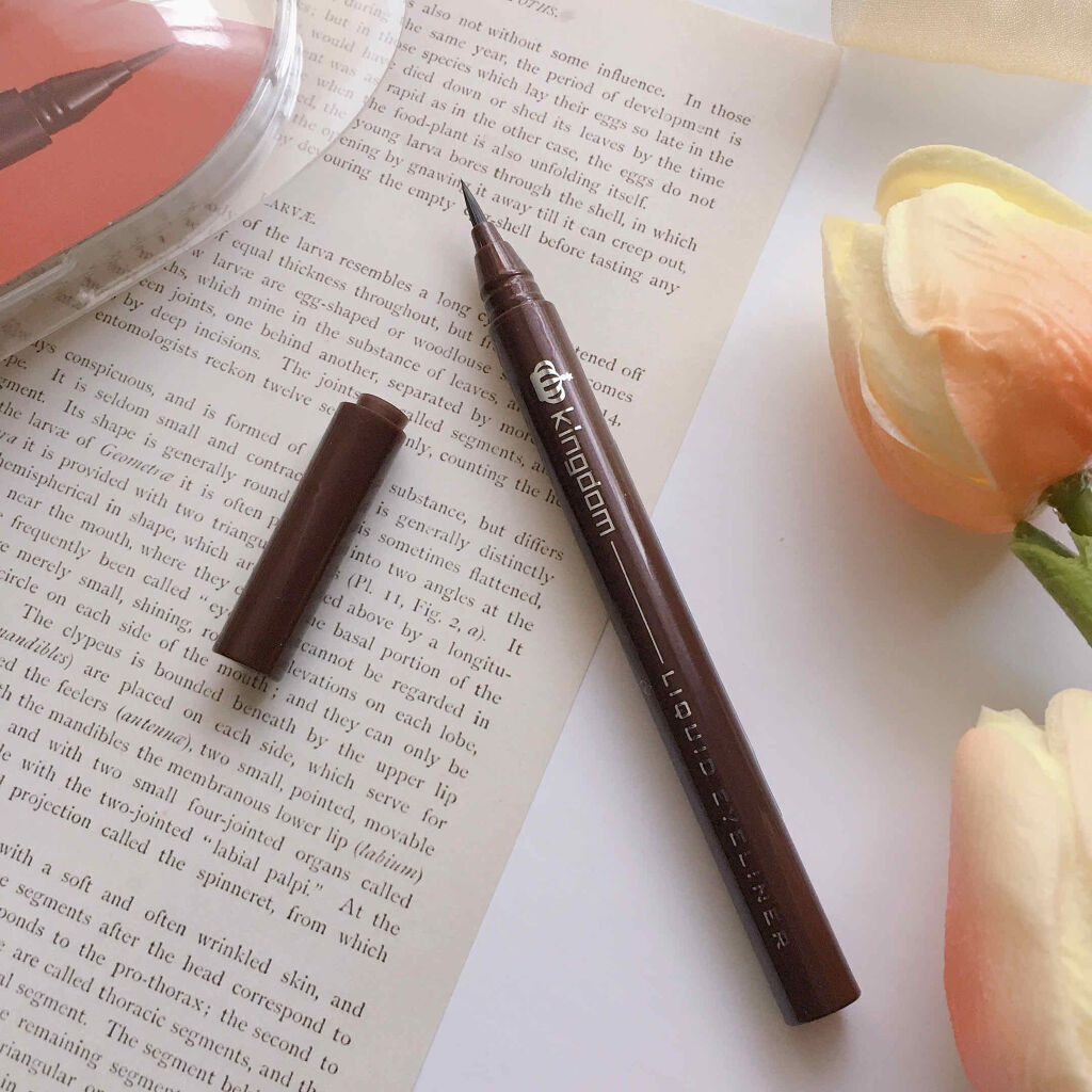 リキッドアイライナーWP		 ディープブラウン/キングダム/リキッドアイライナーを使ったクチコミ（3枚目）