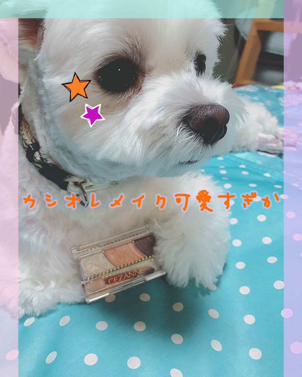 トーンアップアイシャドウ/CEZANNE/アイシャドウパレットを使ったクチコミ(1枚目)