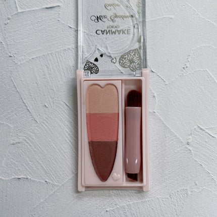 ラスティングリキッドライナー/キャンメイク/リキッドアイライナーを使ったクチコミ(2枚目)