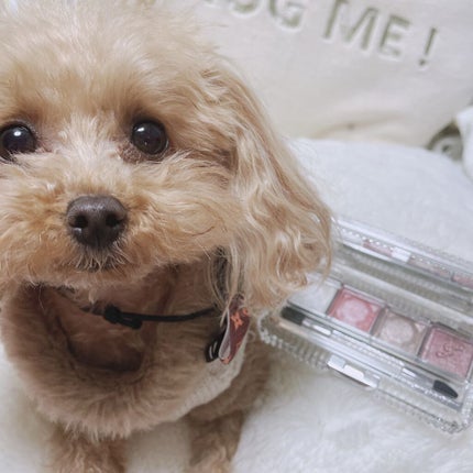 ジルスチュアート エターナルクチュール アイズ シマー/JILL STUART/アイシャドウパレットを使ったクチコミ(5枚目)